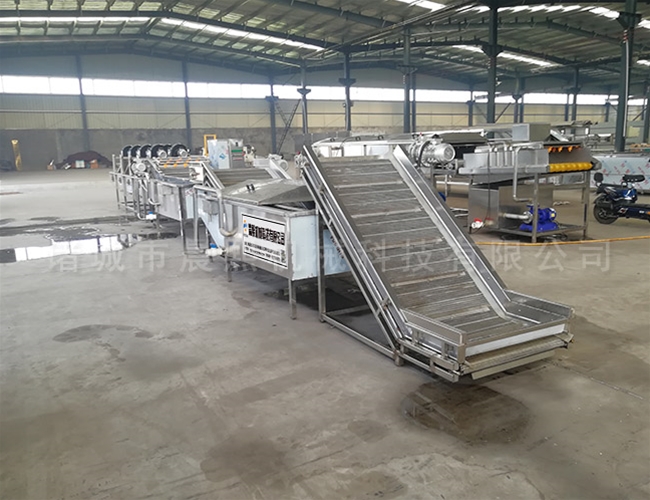 葡萄清洗機(jī)去農(nóng)殘高效率