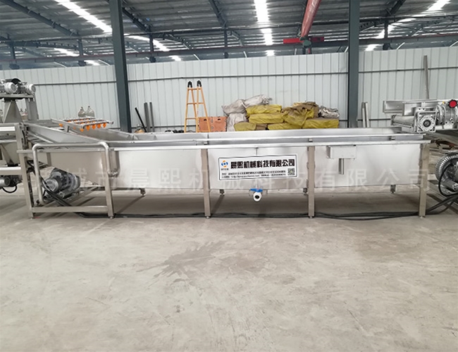 自動(dòng)化四季蔥清洗機(jī)流水線