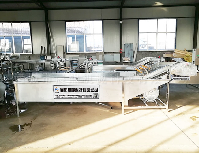 櫻桃鼓泡清洗機(jī)