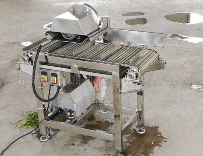 蔬菜切根機(jī)